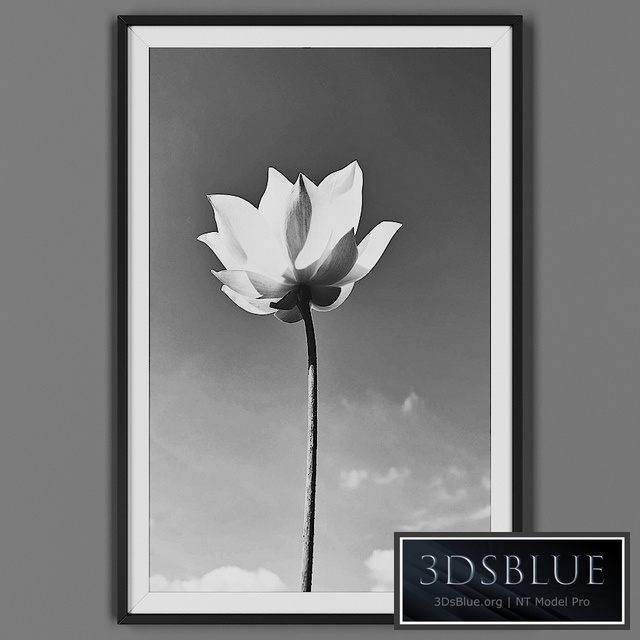 Picture frame 00032-39