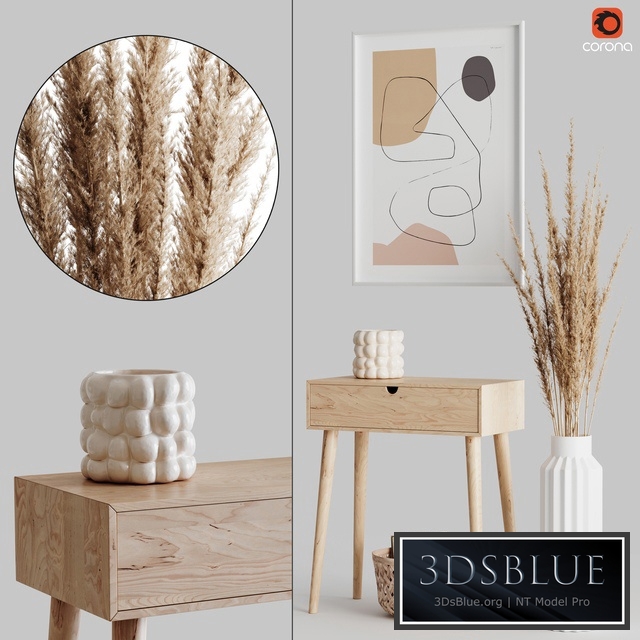 Decoration Set 04 pampas & Console