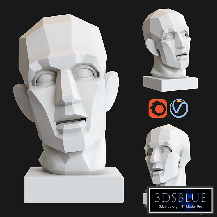 Gypsum Head "Chopping" by Gudon