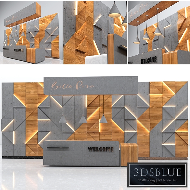 Reception Zone (Reception Desk)