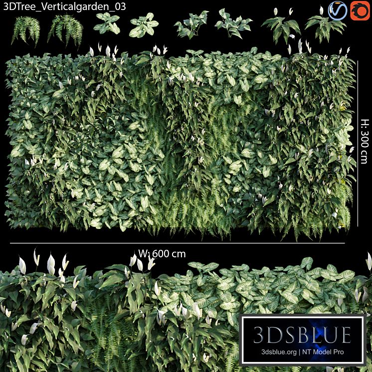 Verticalgarden - Green wall 03