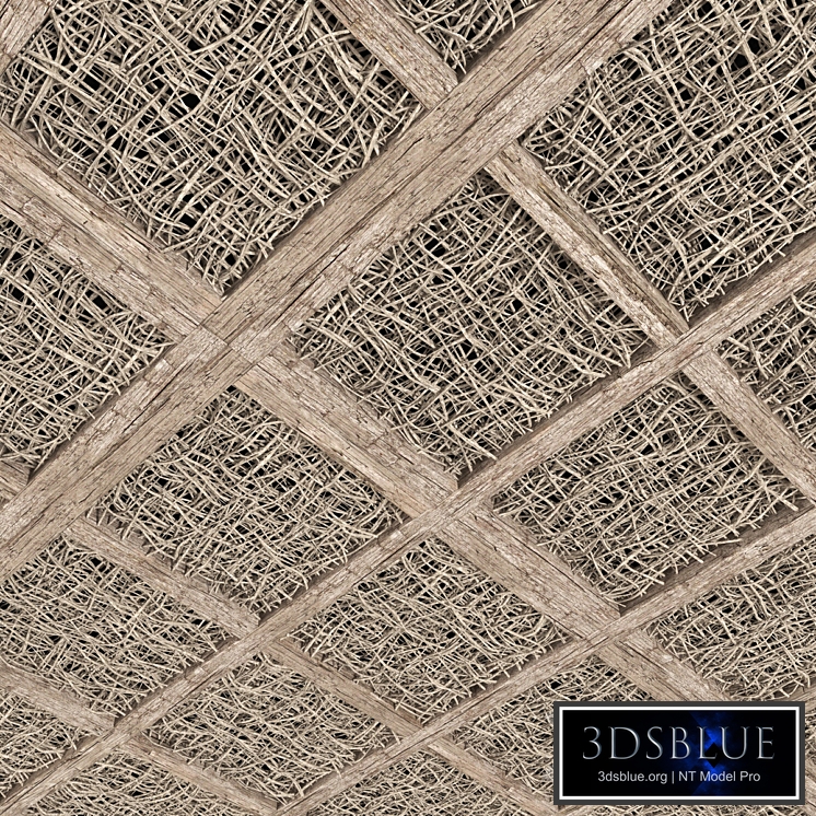 Ceiling white branch decor n1 / Ceiling decorated with white branches