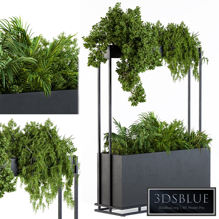 Plant box metal compact