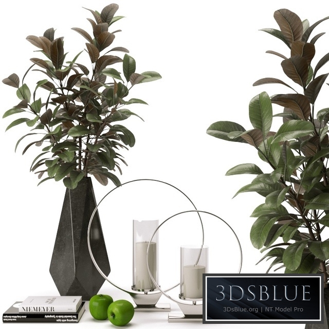 decorative set with accessories from Z Gallerie