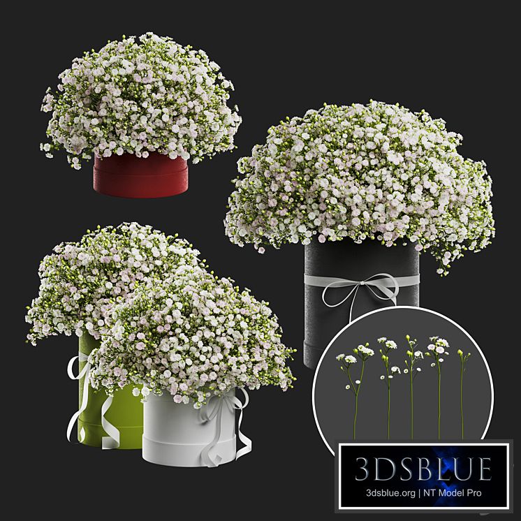 Gypsophila bouquet in a hat box