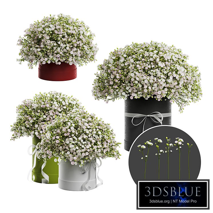 Gypsophila bouquet in a hat box