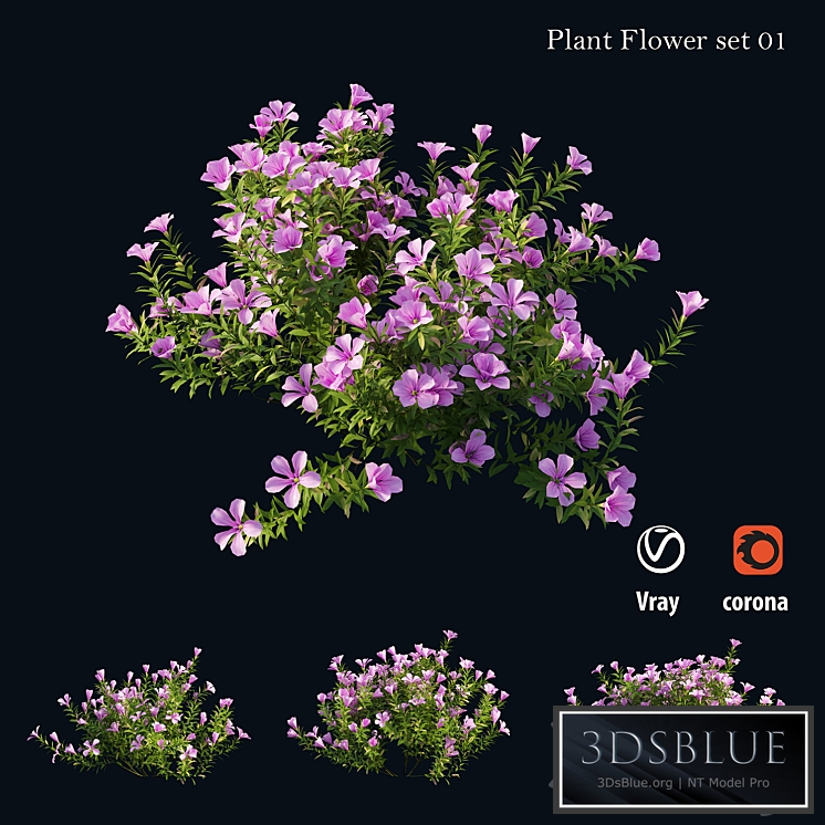 Plant Flower set 01