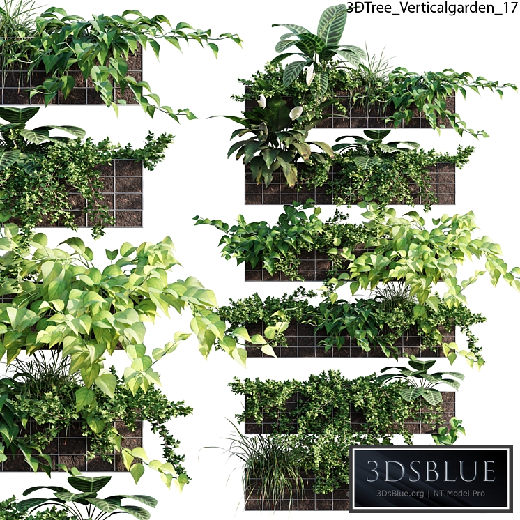 Verticalgarden - Green wall 17