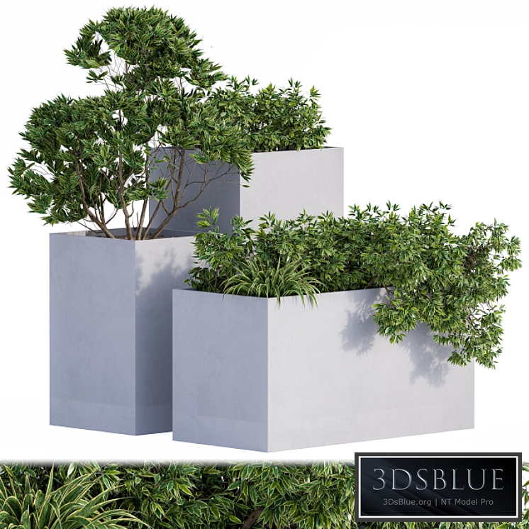 Outdoor Plants Box Concrete