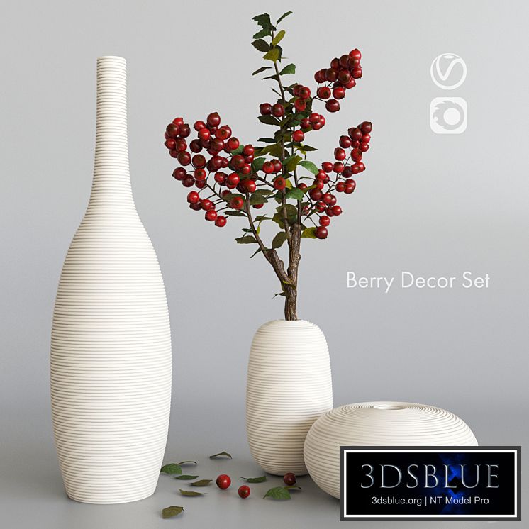 Decorative set with berries