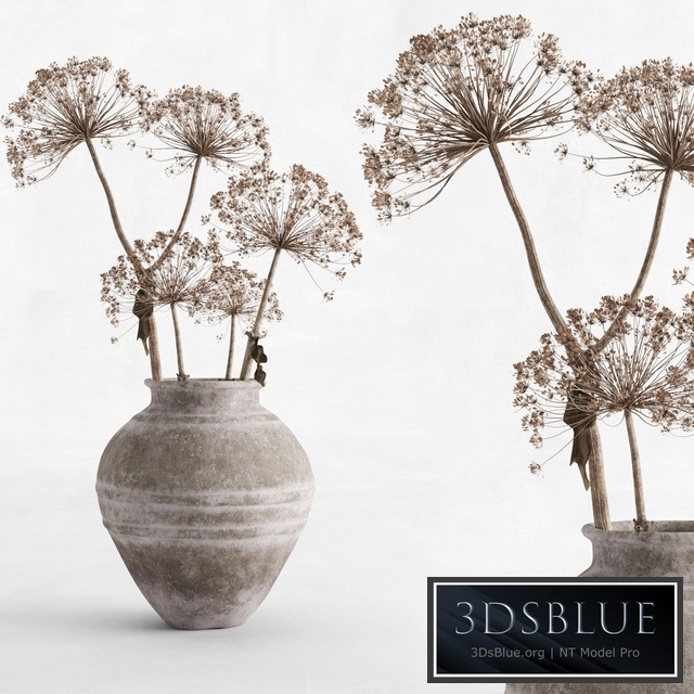 Hogweed in a clay vase