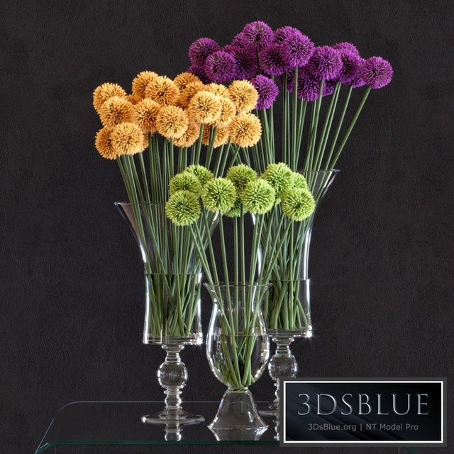 Flower Arrangement: Allium Set1