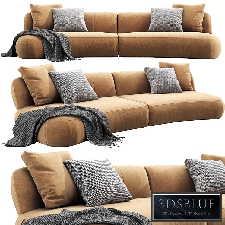 Molteni&C Surf Comp.1