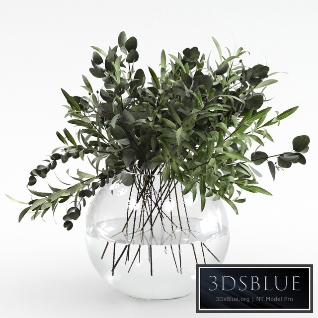 Bouquet of olives and eucalyptus