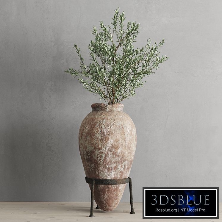 Antique vessel and olive branch