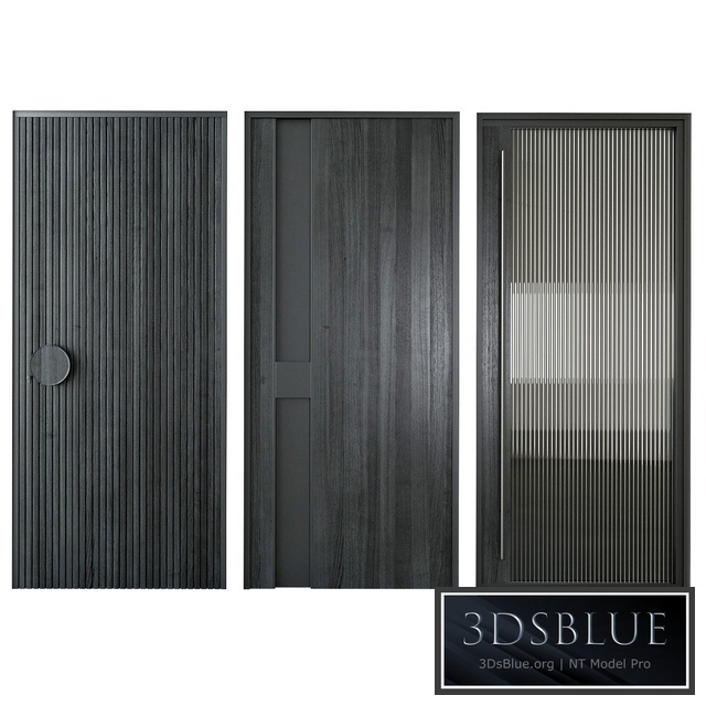 Black modern entrance door