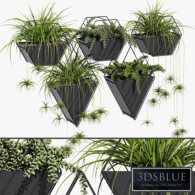 Tulan hanging planter