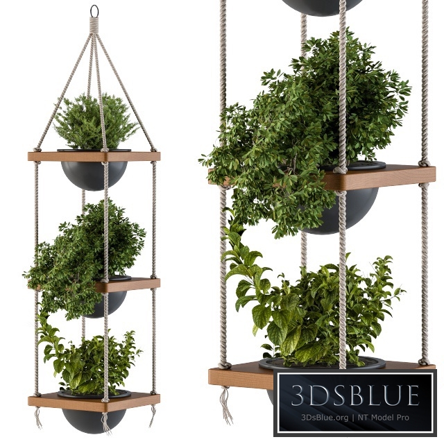 Hanging Plants Rope and Wood