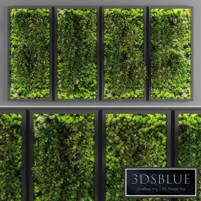 Vertical garden 081