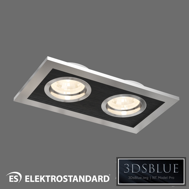 OM Spotlight with rotary mechanism Elektrostandard 1031/2 MR16 SL / BK