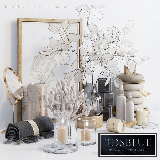 Decorative set with Lunaria