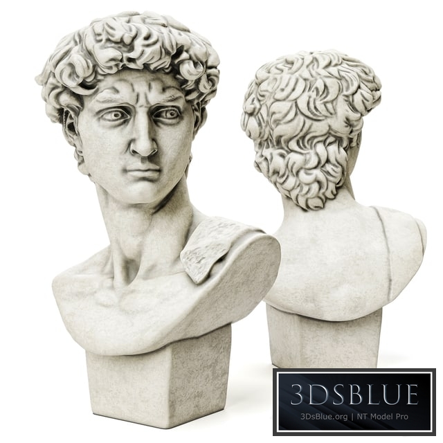 Bust of David Sculpture Michelangelo
