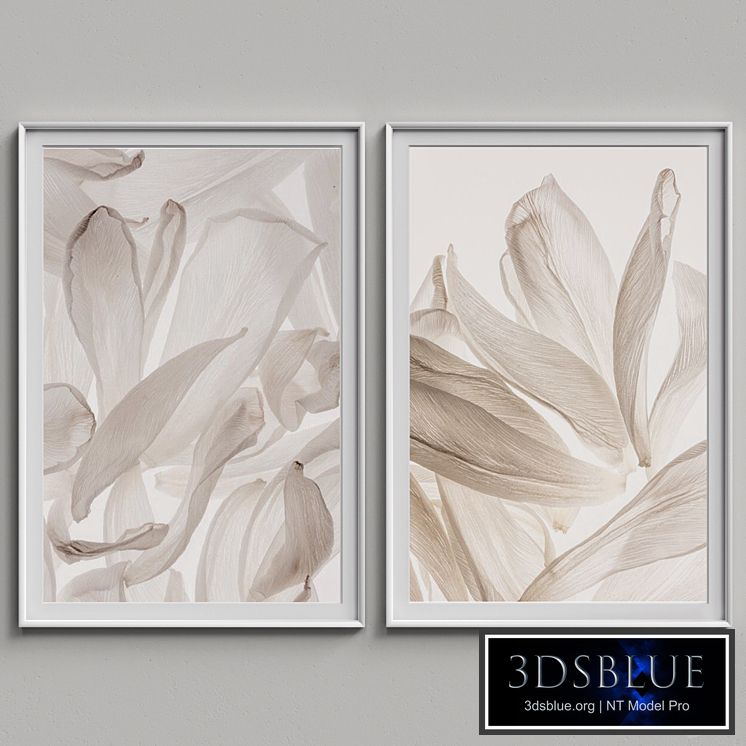 Nice Picture Frames Set 60