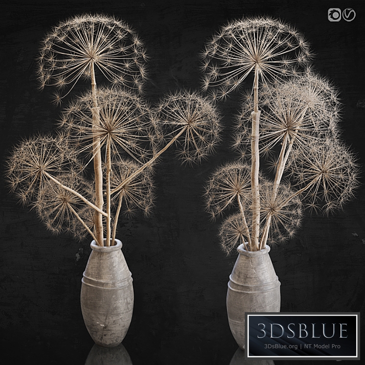 Decor set 11 Heracleum plant