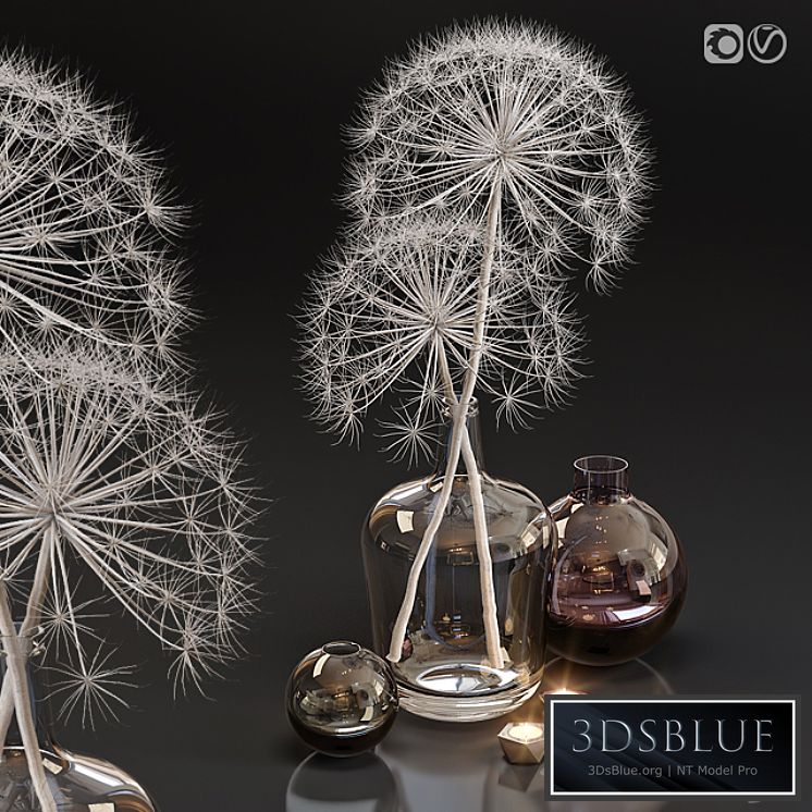 Decor set 13 Heracleum plant white