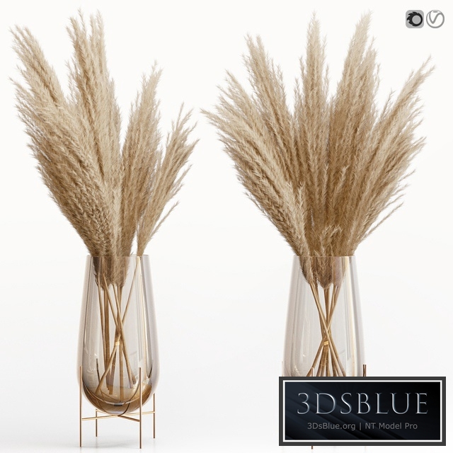 Big dried flower pampas grass in glass vase 5