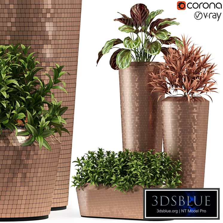 Plants collection 274 Fleur ami PIXEL