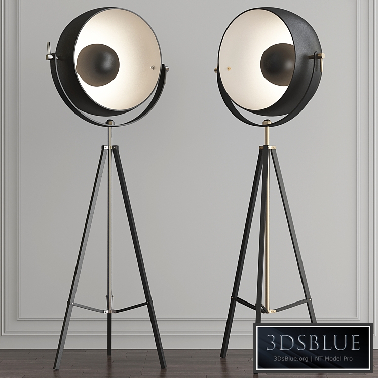 Backstage Matte Black & Polished Nickel Floor Lamp by ELK Home