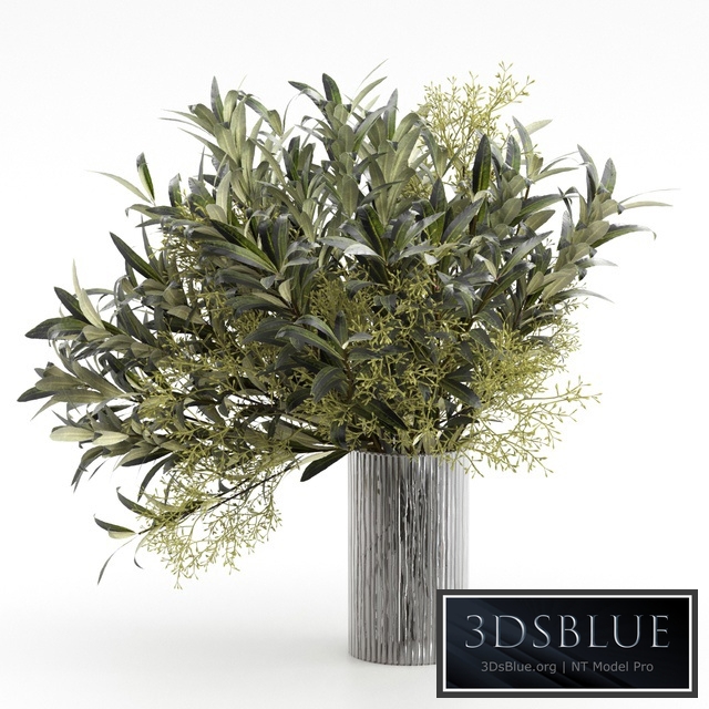 Bouquet of olive branches.