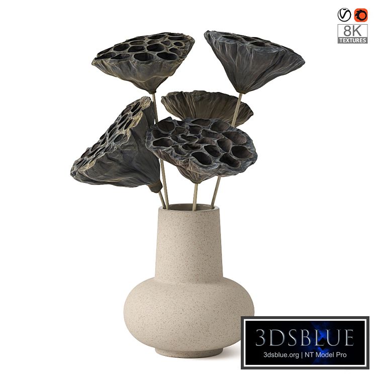 Vases with dried plant