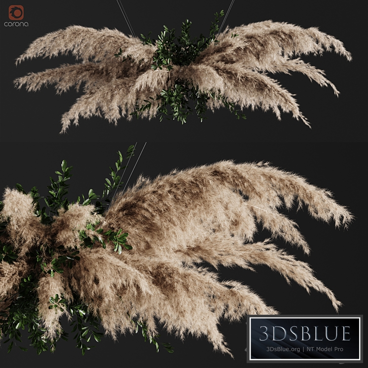 Pampas grass chandelier 01