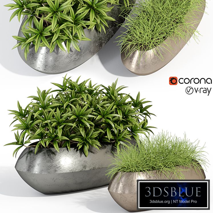 Plants collection 279 Fleurami ROYAL