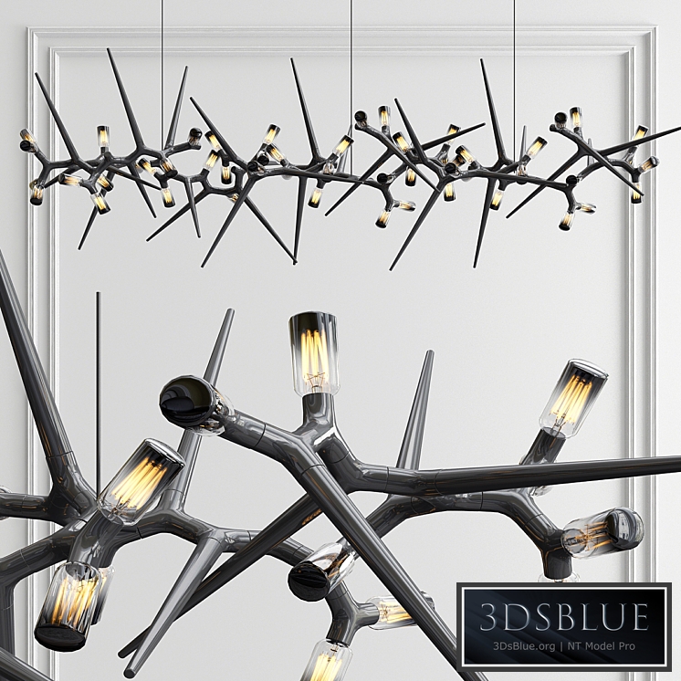 Thorn Lighting by Yilmaz Dogan