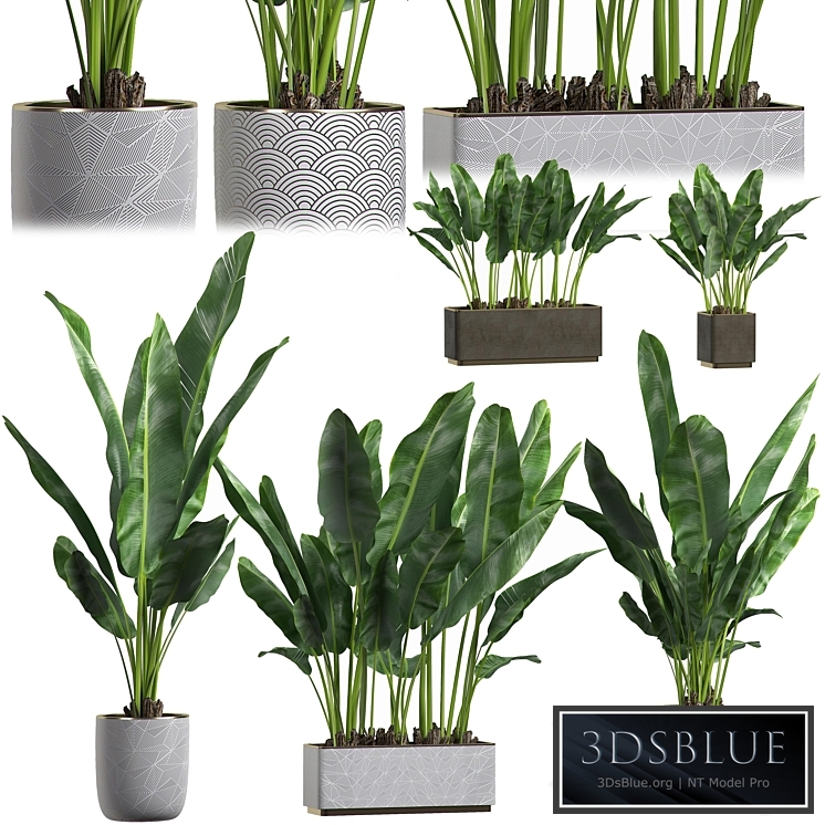 INTERIOR FLOWER PACK 1