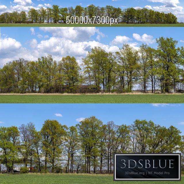 Panorama with Trees v2. 50k
