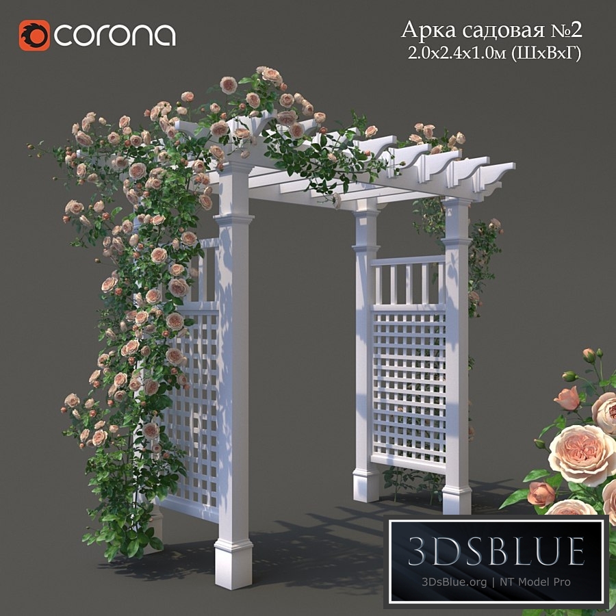 Garden Arch No. 2. Climbing Peony Rose