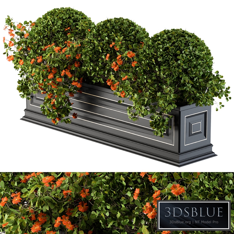 Planter Box For Windows Classic