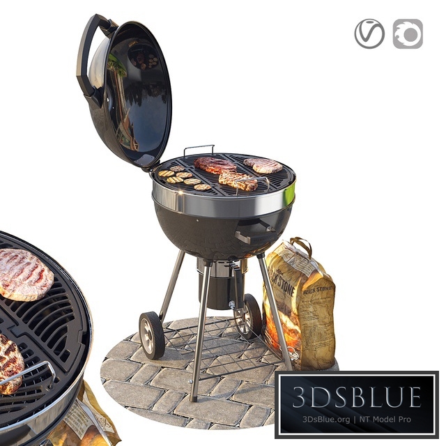 Napoleon Pro Charcoal