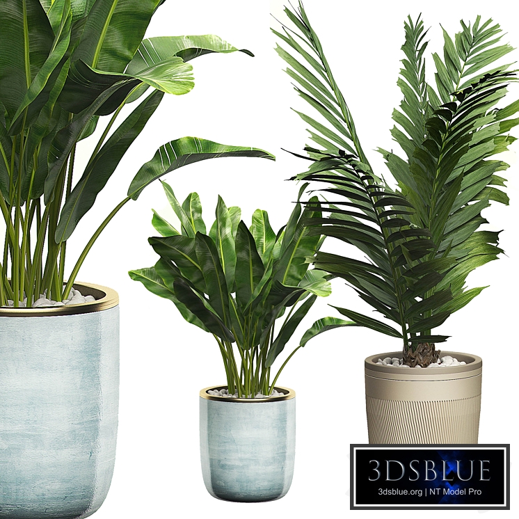 INTERIOR FLOWER PACK 10 - Window placing plants