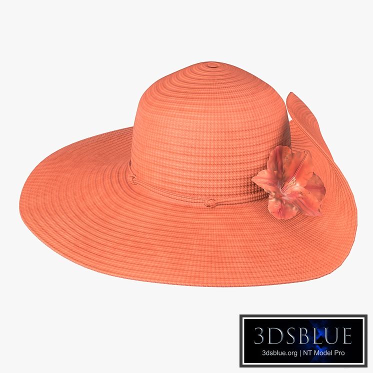 Floppy summer female woman hat 02