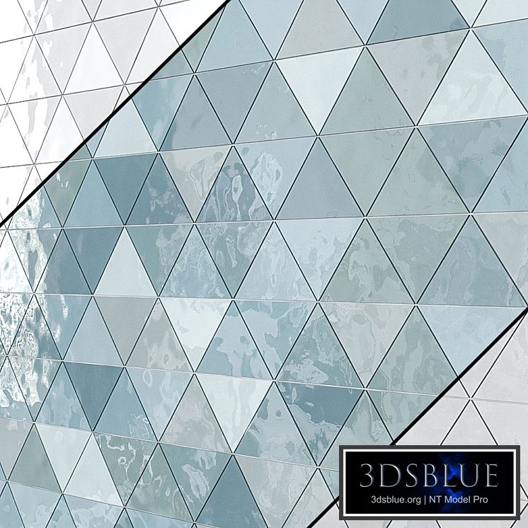 Bellami Triangulo 3 species