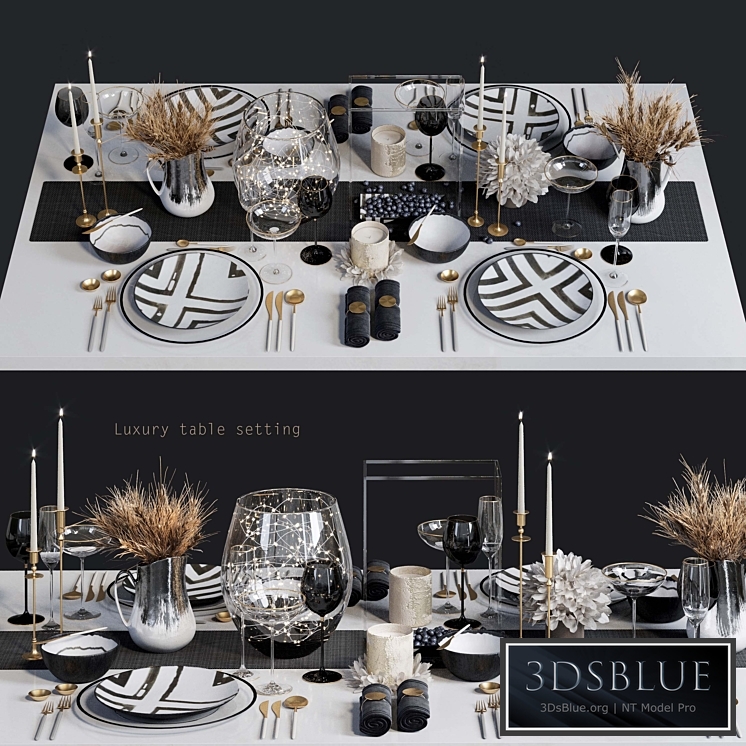 Luxury table setting L
