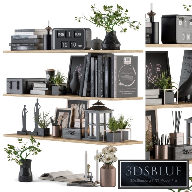 Decorative Set on Shelves