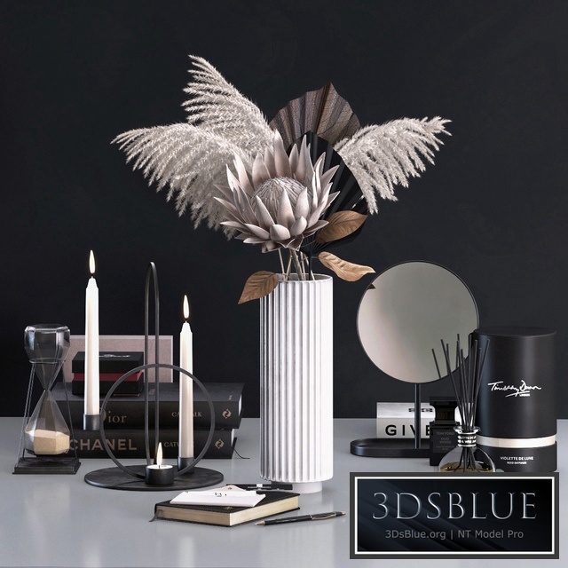 Decorative set with Proteus