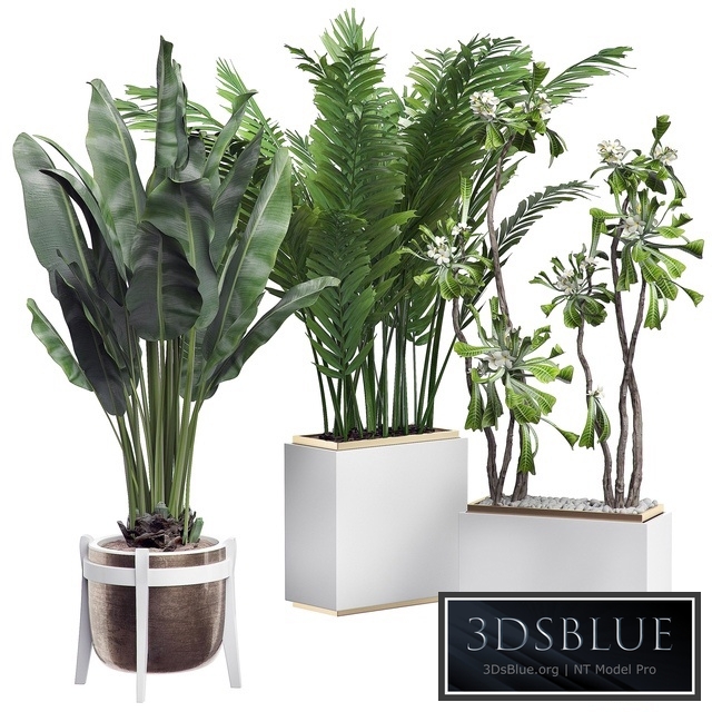 INTERIOR FLOWER PACK 14 - Zonning v. 2