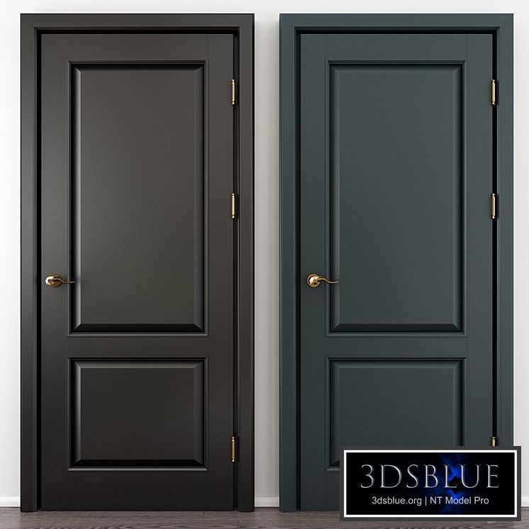 Premium door model 41